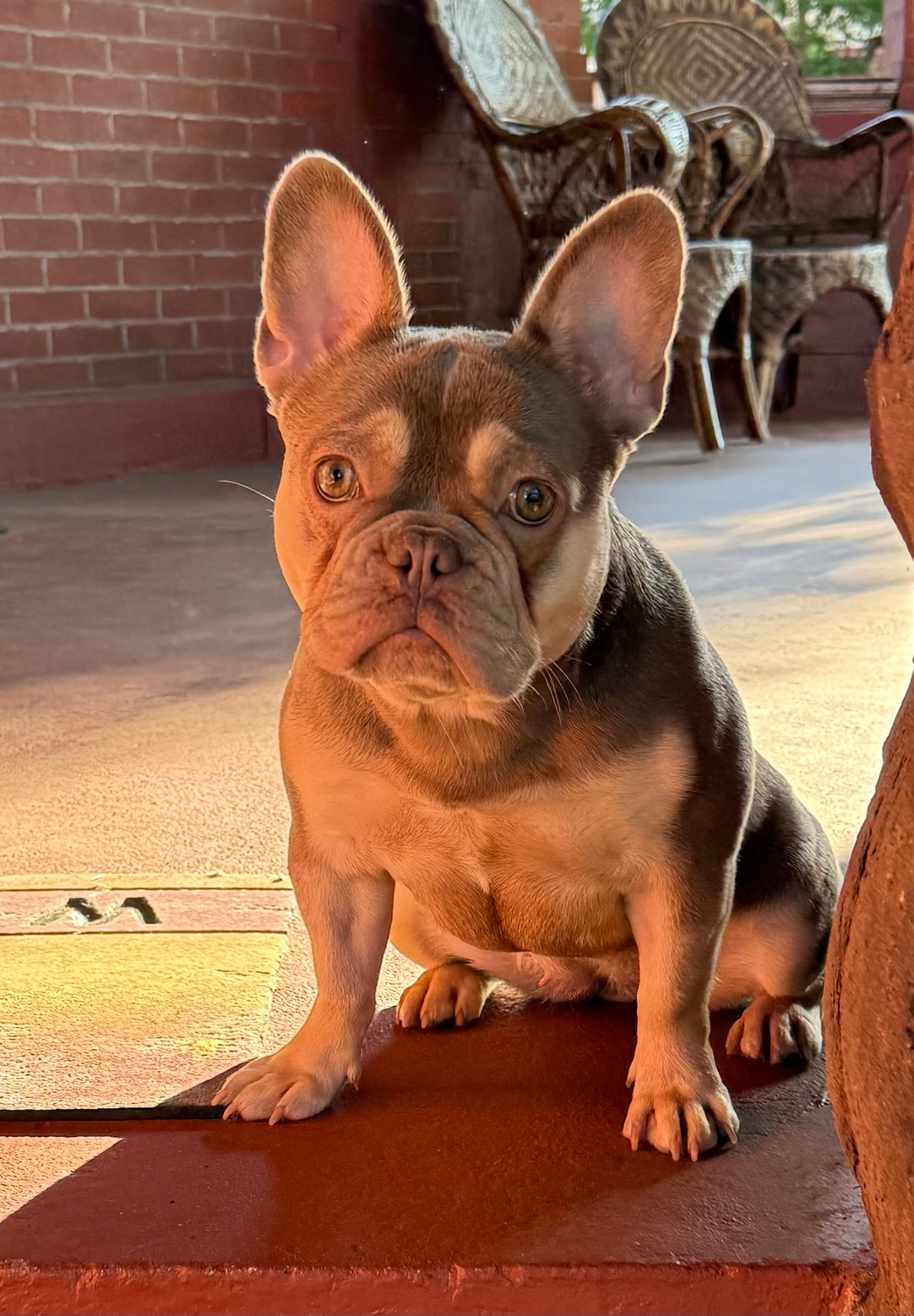 Zayda seated portrait in evening light